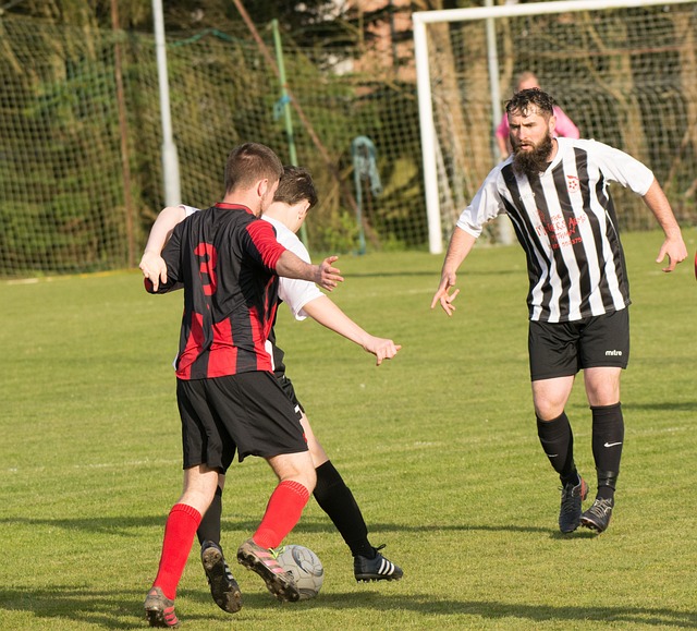 更预示着新 更预示着新