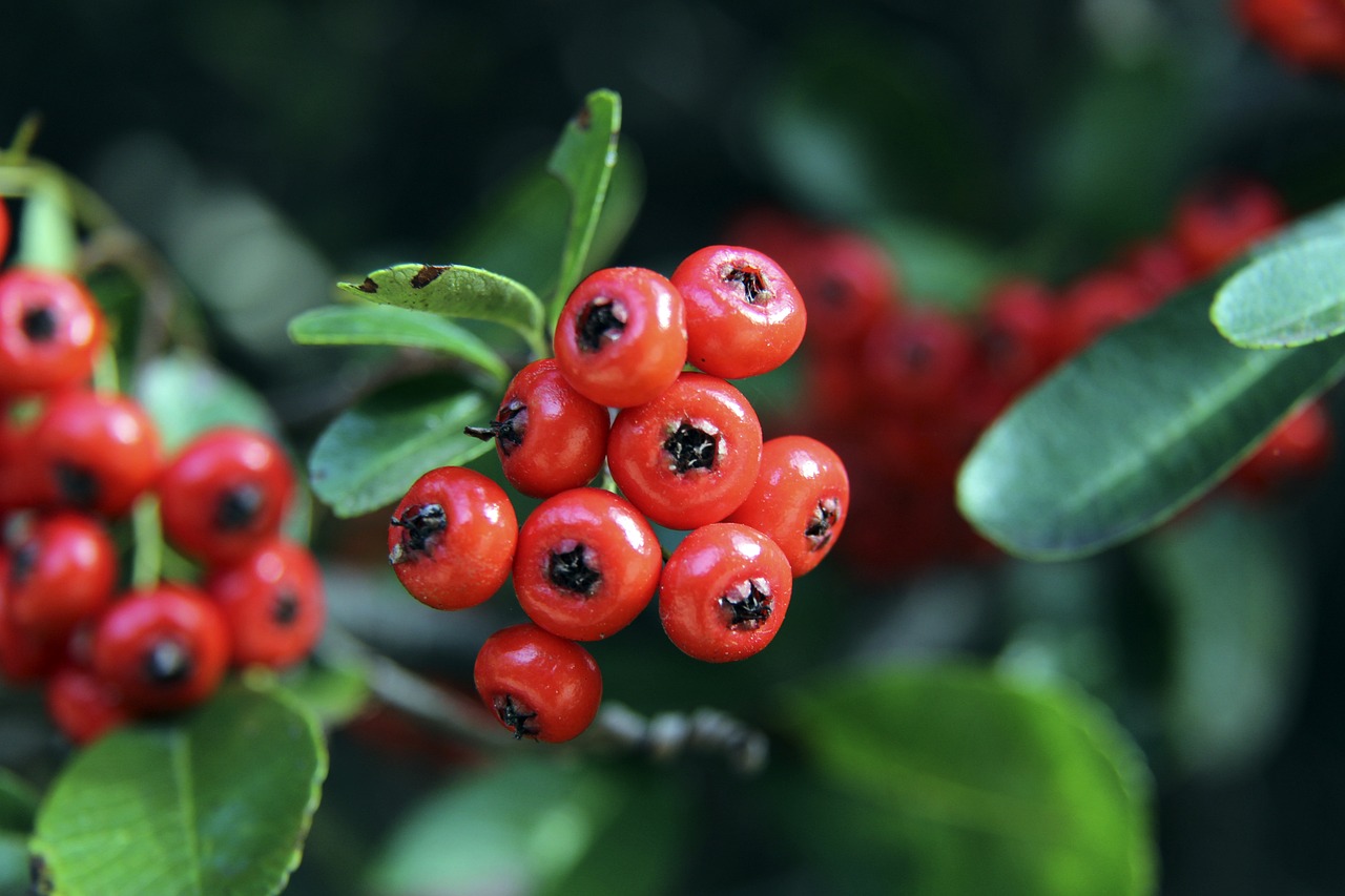 为打破当前 为打破当前