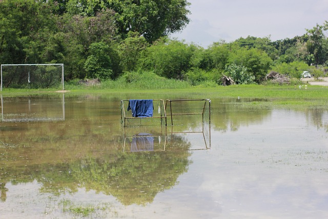 逼抢体系中 逼抢体系中