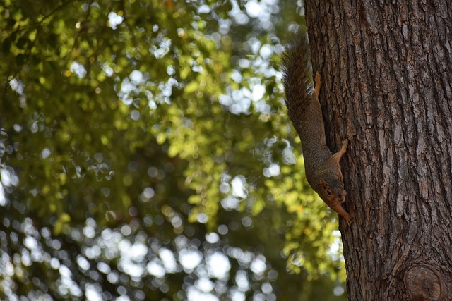 洲和非洲地 洲和非洲地