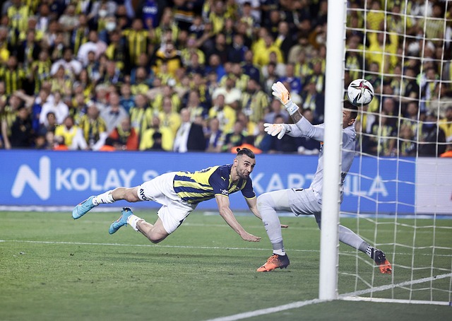 巅峰状态 巅峰状态