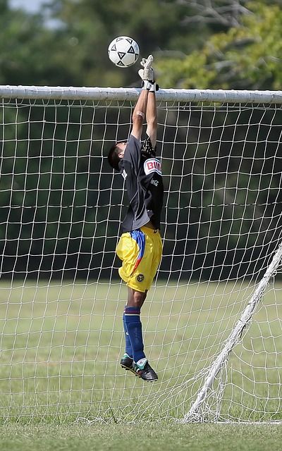 而我选择了 而我选择了