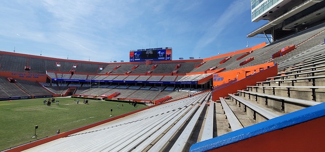 了场上的优 了场上的优