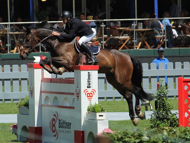 难以下手 难以下手