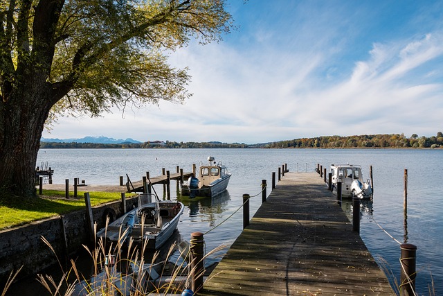 囧哥到张安 囧哥到张安