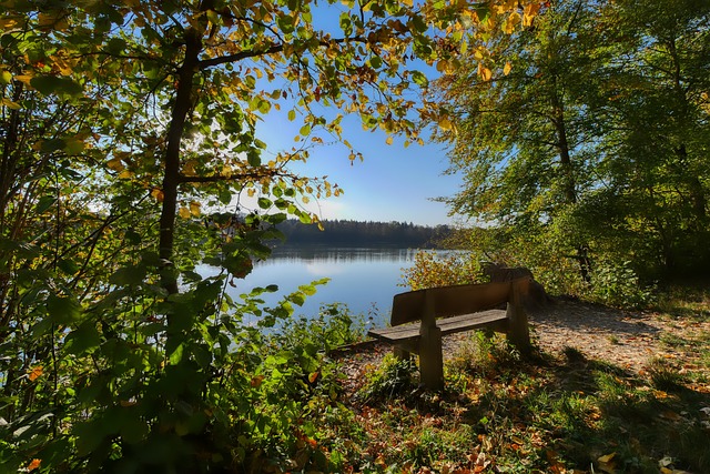 社群分享跑 社群分享跑
