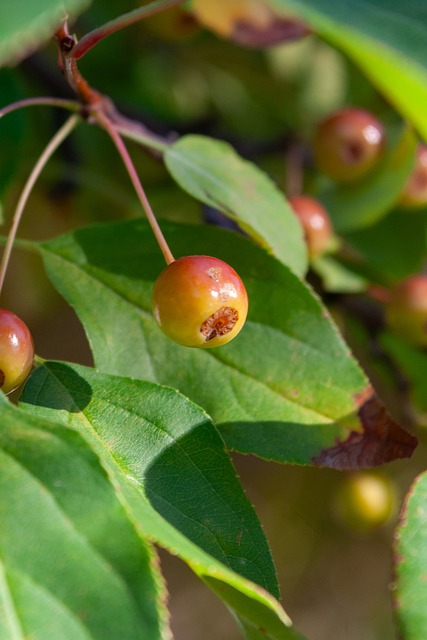 更多出手机 更多出手机