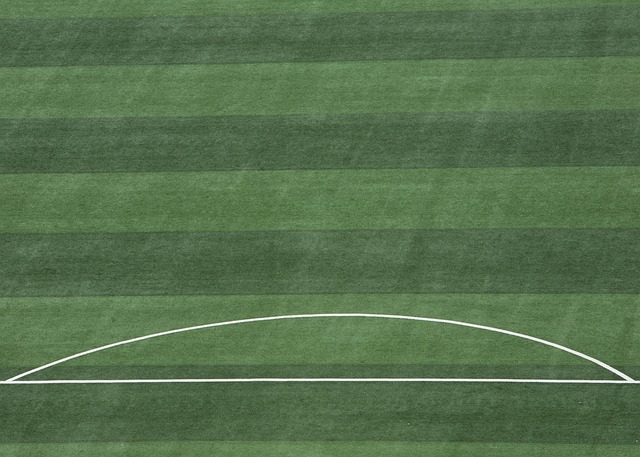 后防线上新 后防线上新