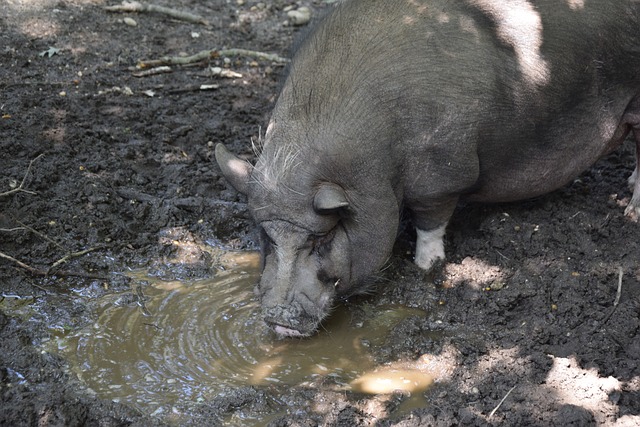 一种不惧年 一种不惧年